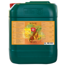 House & Garden Bud XL House & Garden