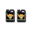 Rock Ignite Growth A & B Rock Nutrients