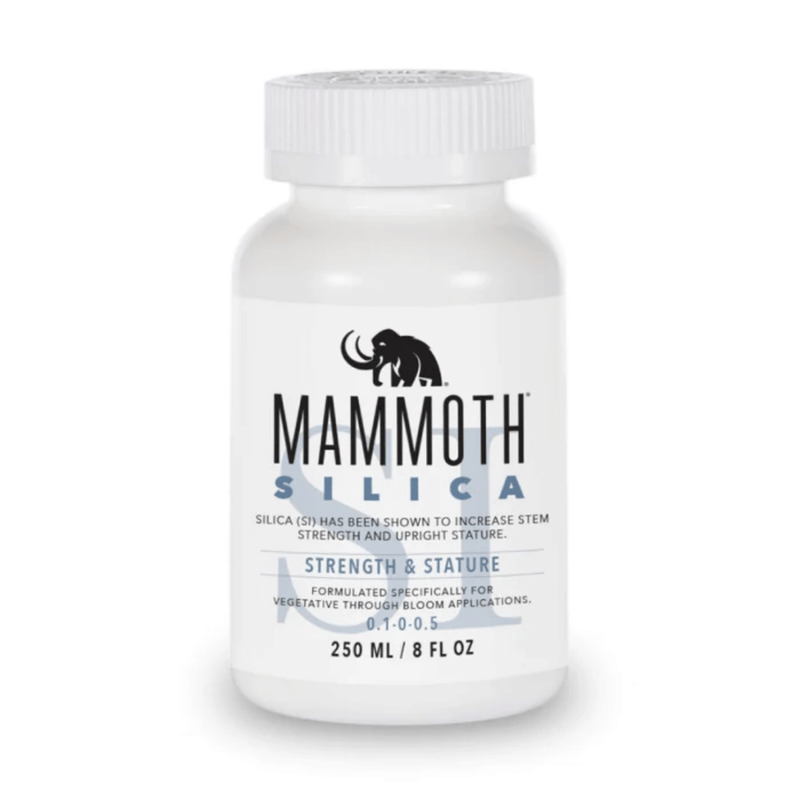 Mammoth Silica 250ML