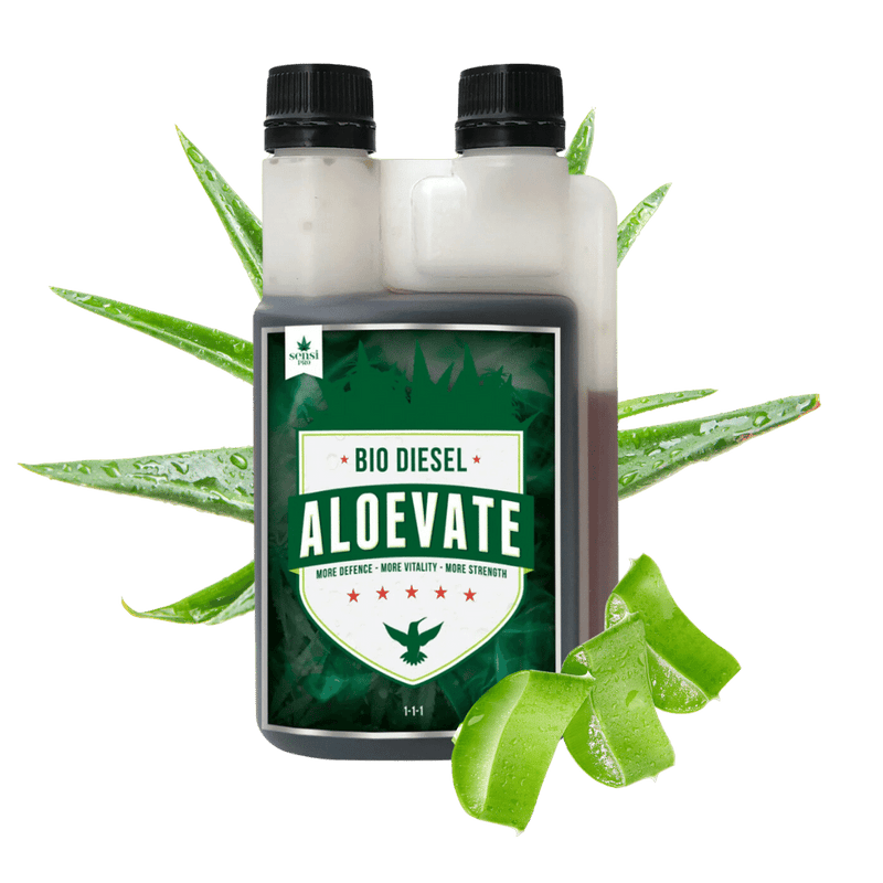 Bio Diesel Aloevate 250ml with fresh aloe