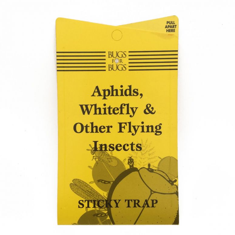 Bugs for Bugs - Whitefly Sticky Traps BugsForBugs