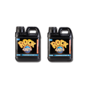 Rock Ignite Bloom A & B Rock Nutrients