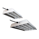 Star Light Star Light